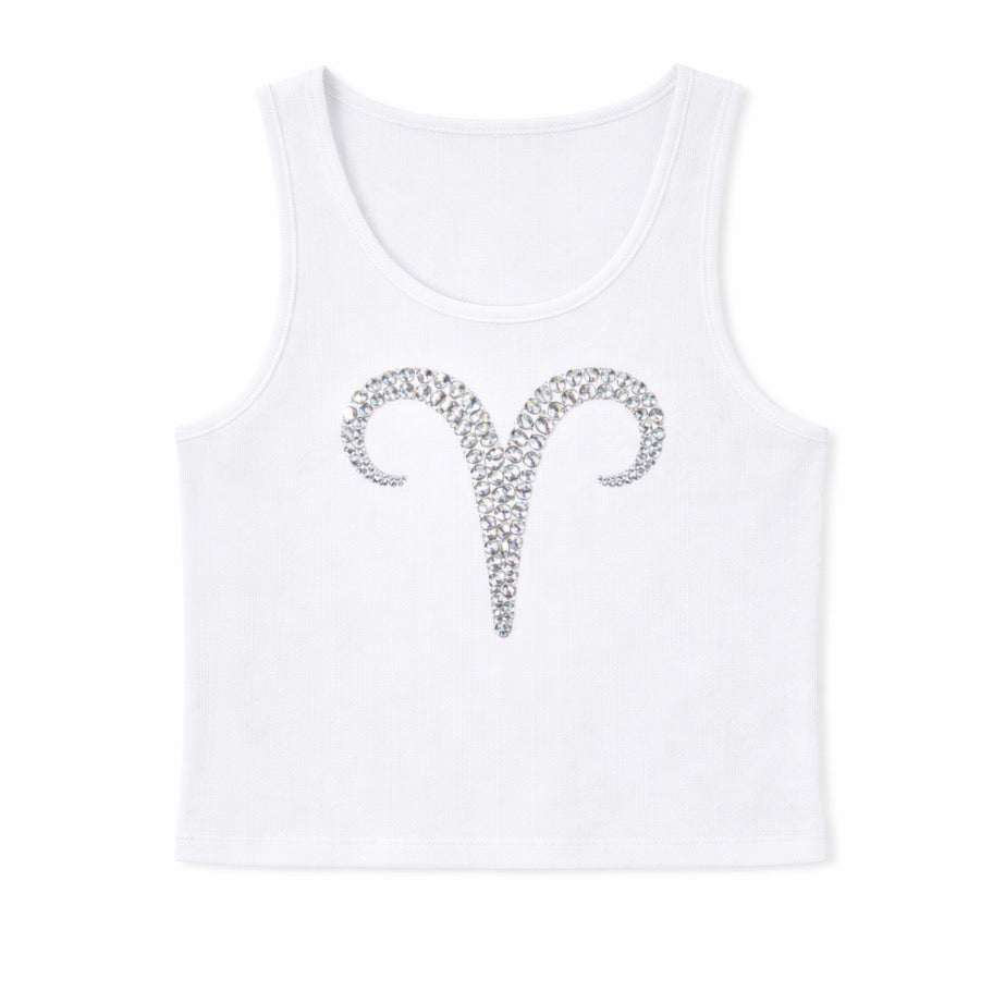 Aries Tshirt