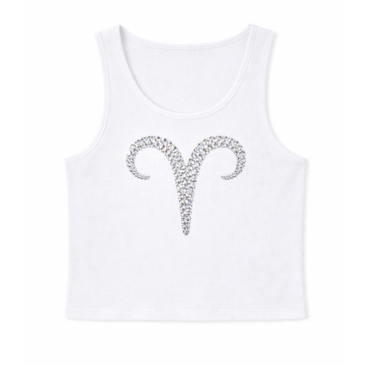 Aries Tshirt